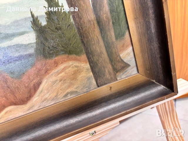 Рисувана картина на фазер, снимка 6 - Картини - 54205558