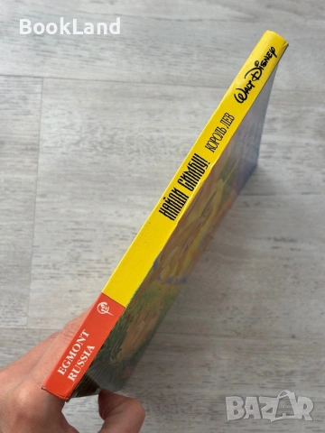 Изключително рядка панорамна книга „Цар Лъв” Дисни „Найди Симбу”, снимка 2 - Детски книжки - 54179662