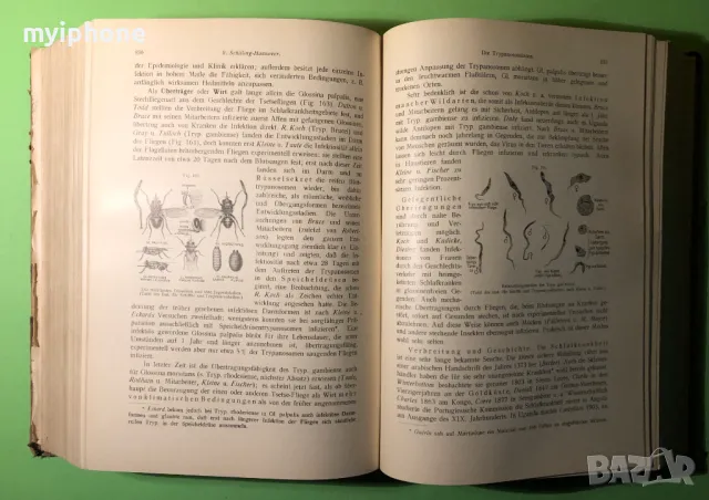 Стара Книга Патология и Лечение на Инфекциозни Болести 2 част 1919 г./1271 страници, снимка 12 - Специализирана литература - 49160295