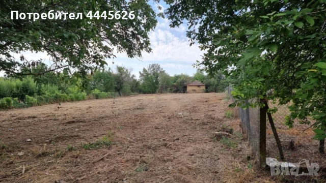 Собственик продава УПИ в с. Ряхово - до р. Дунав, снимка 2 - Парцели - 51675335