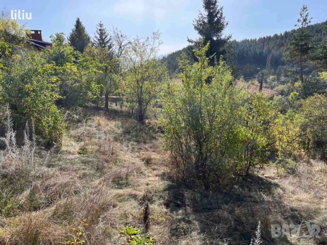 Продава ПАРЦЕЛ област София, с. Широки дол, снимка 5 - Парцели - 53151175