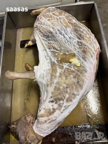 Печени агнета и прасета, снимка 17 - Други услуги - 51031087