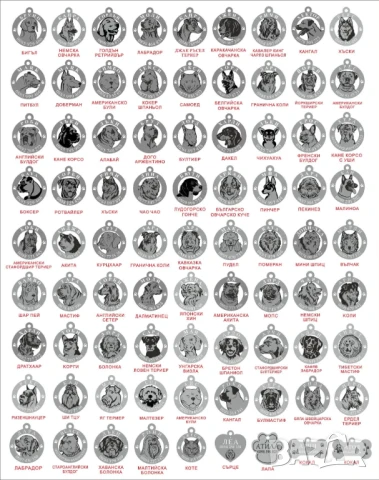 Лазерно рязане и гравиране на медальони за кучета от неръждаема стомана  , снимка 15 - Други стоки за животни - 51173445