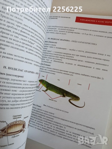 Ръководство за упражнения и тестове по зоология на гръбначните животни, снимка 2 - Специализирана литература - 53862863