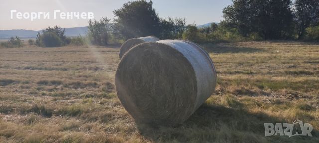 Продавам Рулонни Бали Сено, село Ковачевци (Самоковско), снимка 2 - За селскостопански - 46504556