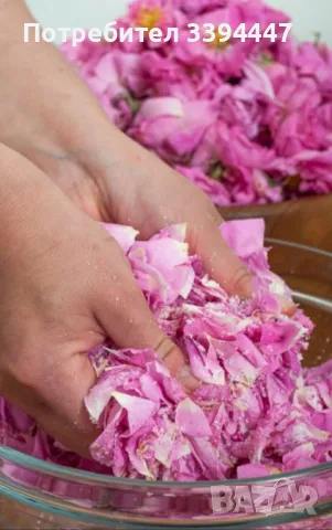 сладко и сок от рози , снимка 2 - Хранителни добавки - 49974673