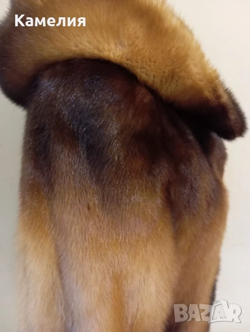 Палто от норка , снимка 5 - Палта, манта - 53946495