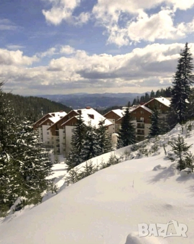 Апартамент Никол -Пампорово, снимка 7 - Почивки на планина - 31104504