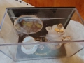 Миниатюри от порцелан, снимка 4