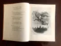 Фауст(Гьоте) и Ад(Данте Алигиери) с твърди корици голям формат с много илюстрации, снимка 7