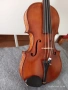 cigulka 4,4 , снимка 4