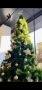 3 метра Коледна елха, снимка 3