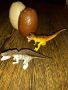 Конструктор-динозавър в яйце, фосили на динозаврър, птичка