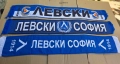 Шалче Левски и Левски София три модела - 2025 фенски модел, снимка 1