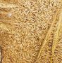 овес ,пшеница 380лв., снимка 1 - За селскостопански - 45798666