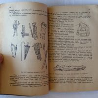 Готов за санитарна отбрана - учебник от 1948 + бонус конспект по местна противовъздушна отбрана, снимка 7 - Специализирана литература - 45382943