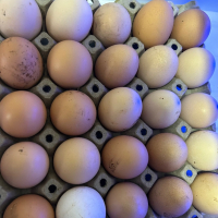 Пресни кокоши яйца, снимка 1 - Домашни продукти - 45031132