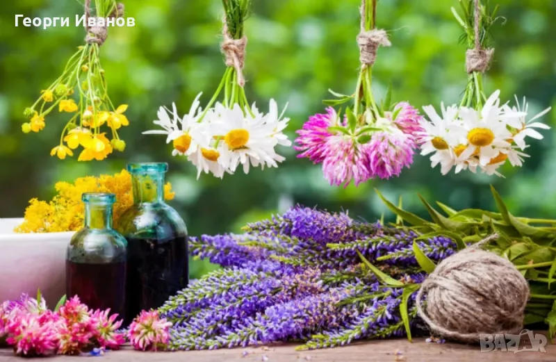 Билколечение на всякакви заболявания, снимка 1