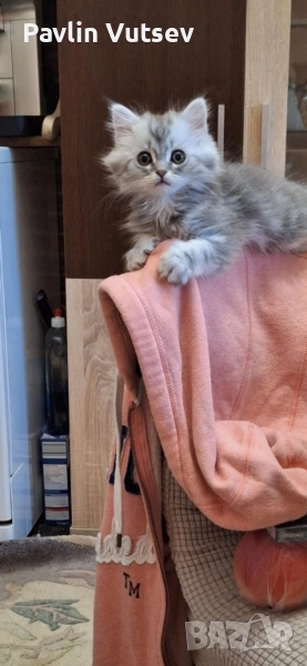 продавам мъжко и женско, снимка 1