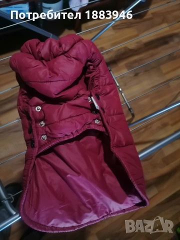 Шушлеково яке, снимка 5 - За кучета - 53602949