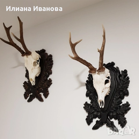 Поставки за ловни трофеи, снимка 14 - Картини - 12206704