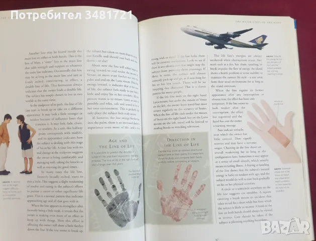 Илюстрирано ръководство по хиромантия / Complete Illustrated Guide to Palmistry, снимка 7 - Езотерика - 47887783