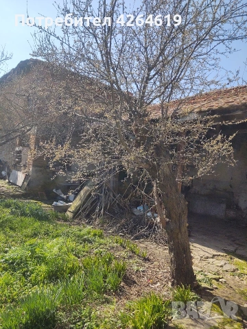 ПРОДАВАМ КЪЩА В С. ДИНЕВО, снимка 9 - Къщи - 53933735