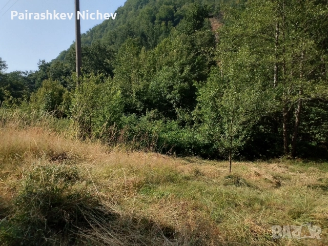 Панорамен Парцел , снимка 8 - Парцели - 47795715