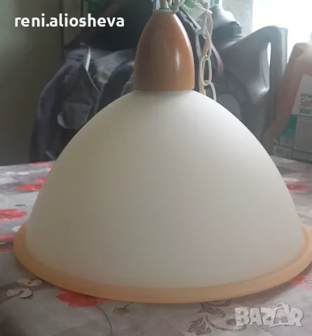 Полилей , снимка 3 - Полилеи - 50054631