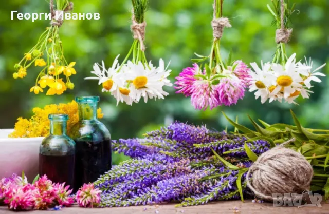 Билколечение на всякакви заболявания