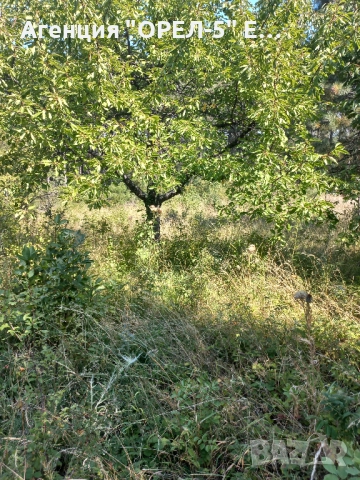 Продава два парцела гр.Перник,кв.Калкас, снимка 5 - Парцели - 51935117