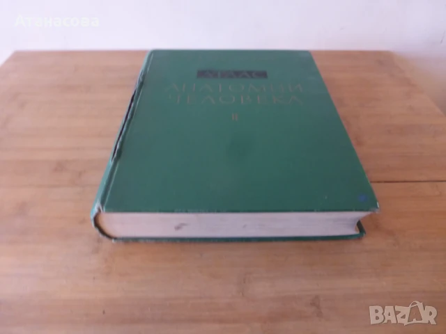Атлас Анатомия на човека том 2 Синелников, снимка 9 - Енциклопедии, справочници - 50787735