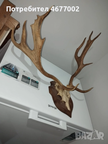  Прекрасен трофей