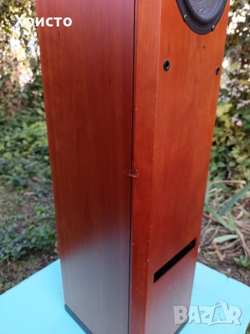 Тонколони Hi-End Usher V-602, снимка 11 - Тонколони - 52171299