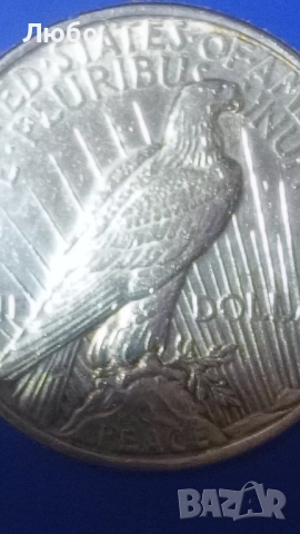 лот един долар 1922г, снимка 4 - Нумизматика и бонистика - 52322100