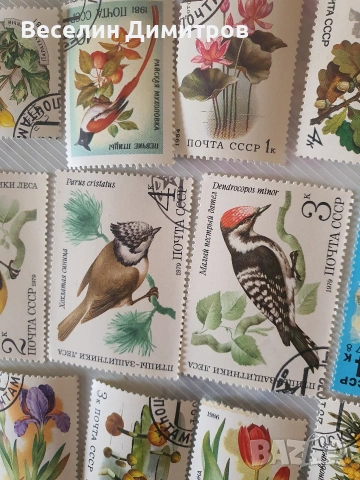 Марки, снимка 9 - Филателия - 53965871