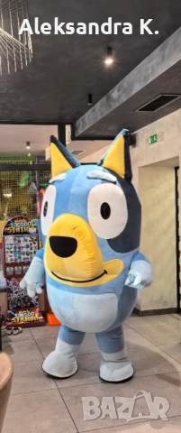 Изненада за рожден ден / Кученцето Блуи, снимка 8 - Детегледачки, детски центрове - 48203971