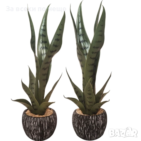 Декоративно растение – сансивиера в кашпа, 46 см Код P1523, снимка 2 - Декорация за дома - 52543828