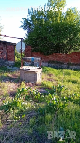 Едноетажна къща с голям двор – с. Златополе,обл.Хасково, снимка 5 - Къщи - 52837644