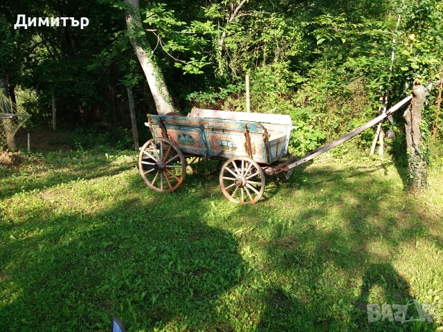 Къща за гости Мома Елена , снимка 15 - Къщи - 53878303