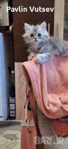 продавам мъжко и женско