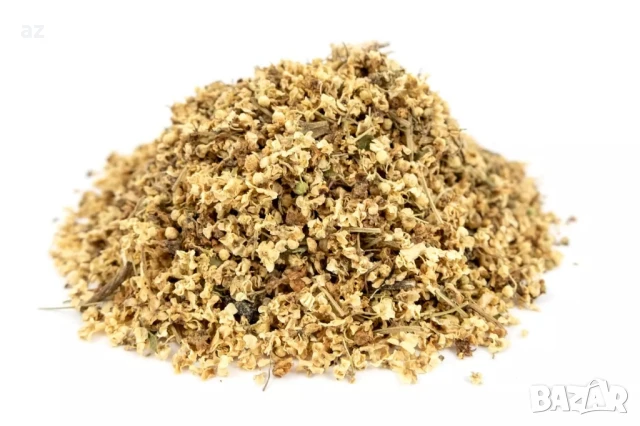 Бял бъз, снимка 3 - Други - 50716178