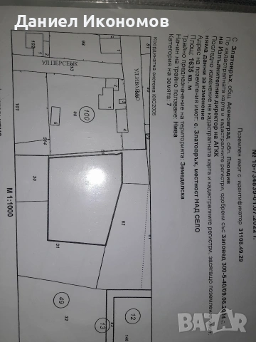 парцел златовръх 