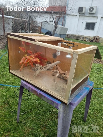 Продавам две клетки за птици и един терариум, снимка 7 - За птици - 53174088