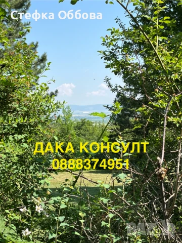 Продавам къща в с. Жедна, снимка 10 - Къщи - 50757061