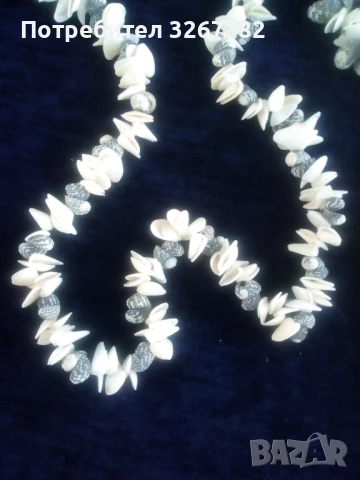 Гердани,Кубински,Редки Морски Раковини, снимка 2 - Колиета, медальони, синджири - 51310916