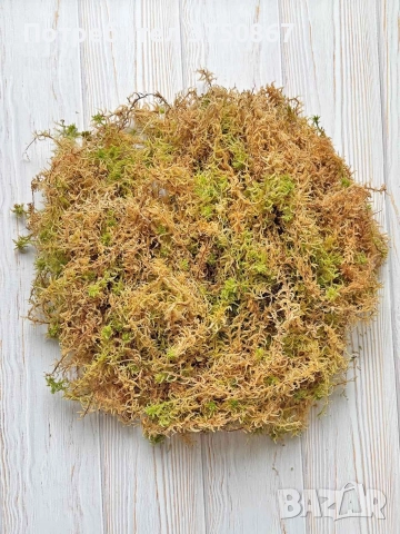 🌿 💞⭐ Премиум сфагнумов мъх