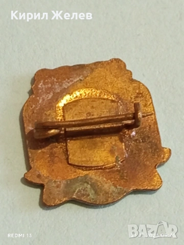 Стара значка от соца с герба на град МИЧУРИН сега ЦАРЕВО за КОЛЕКЦИЯ 51688, снимка 5 - Колекции - 53171885