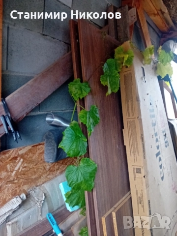 гардероби 2бр. Дву и три крилен с, снимка 2 - Гардероби - 52331041