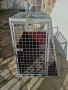 Транспортна клетка за кучета , снимка 1